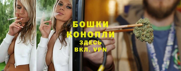 молекула духа Богородицк